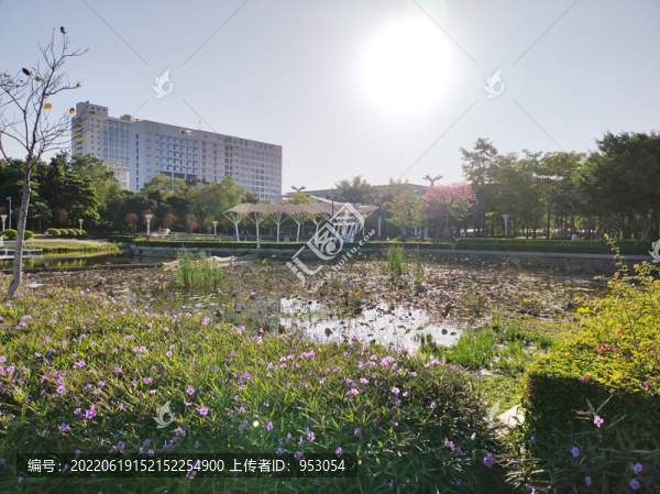 中式建筑園林