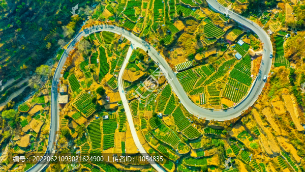 茶園山路