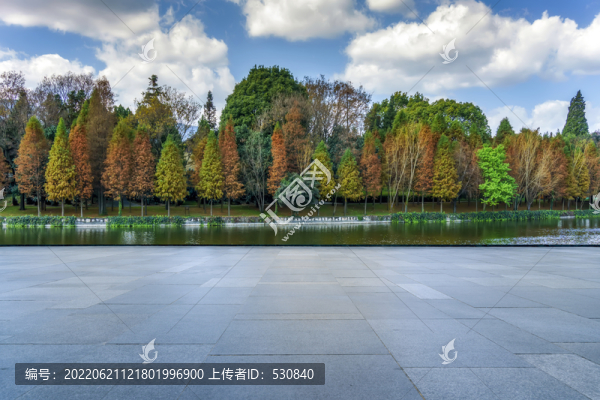 地磚地面與樹(shù)林背景