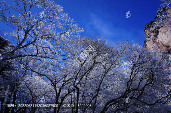 冬季黃山