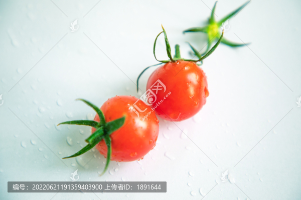 小柿子