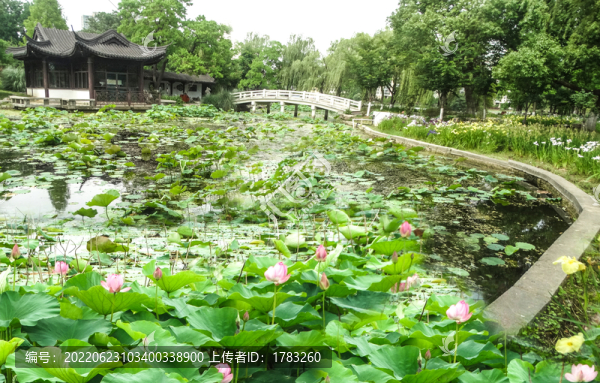 南京莫愁湖