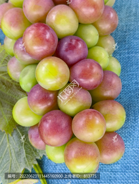 晴王紅紫葡萄-匯圖網(wǎng) www.fosd68.com 晴王紅紫葡萄