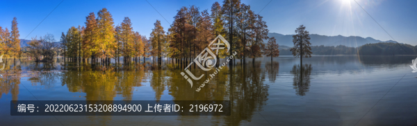 寬幅奇墅湖秋天晨光全景