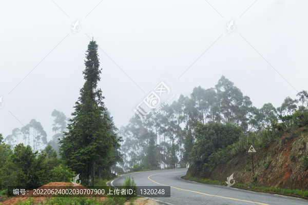 山霧