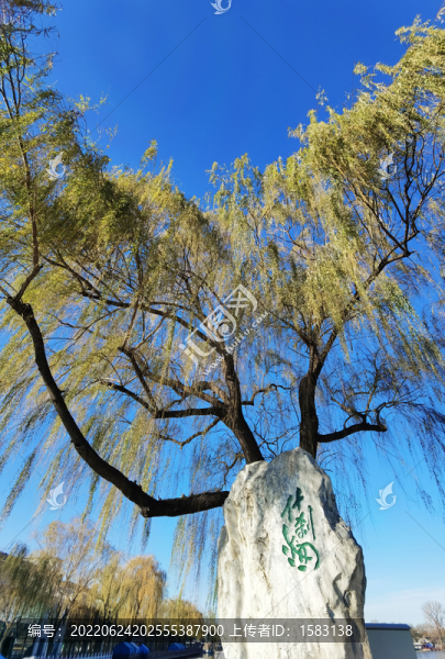 北京什剎海風(fēng)光