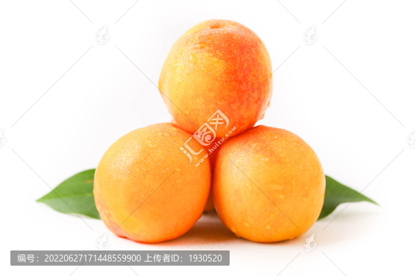 黃油桃