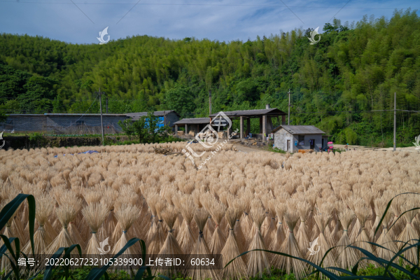 竹筷加工