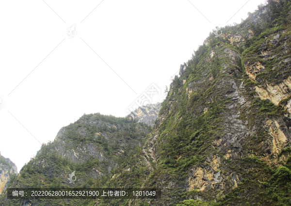 高山