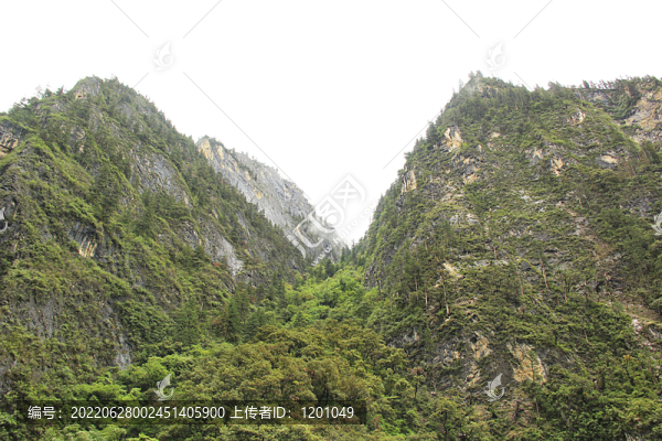 高山