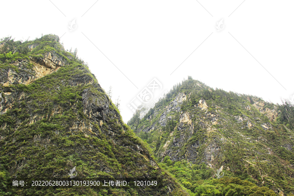 高山
