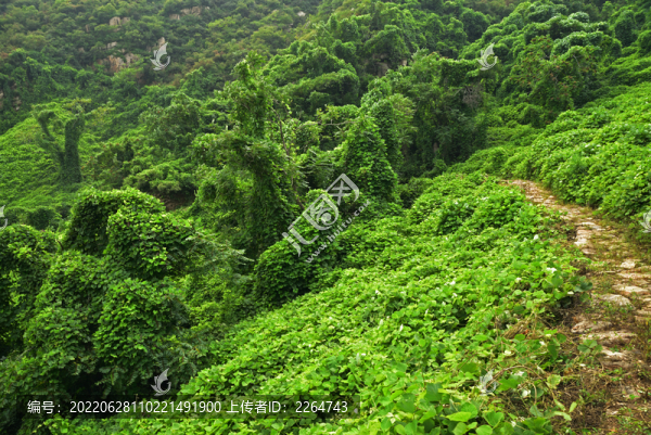 河北石家莊平山縣藤龍山風景區(qū)