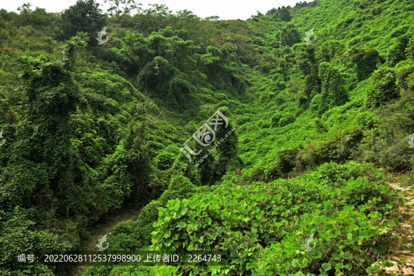 河北石家莊平山縣藤龍山景區(qū)