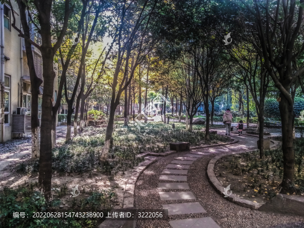 城市小區(qū)園林綠化