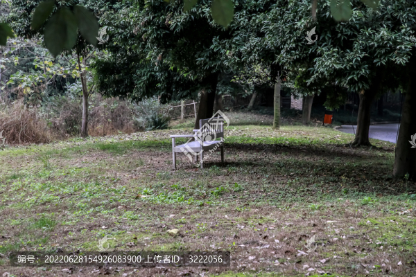 公園