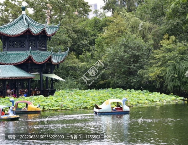 公園游船