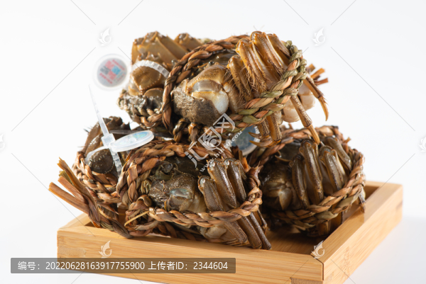 大閘蟹