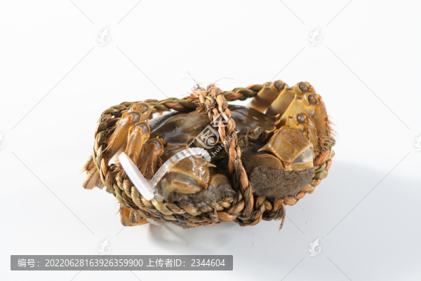 大閘蟹