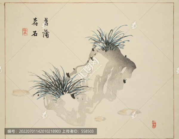 菖蒲壽石花卉裝飾畫