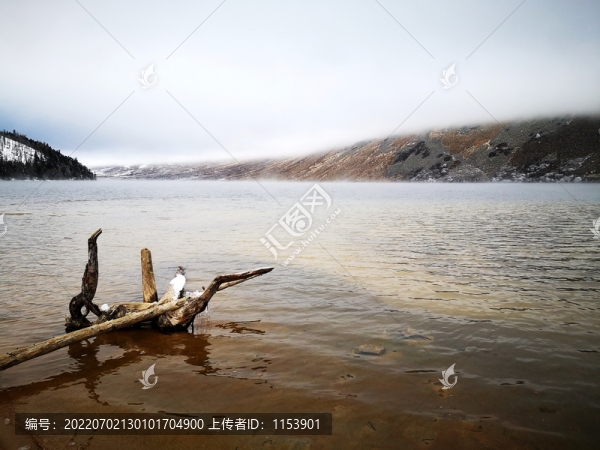高山湖泊