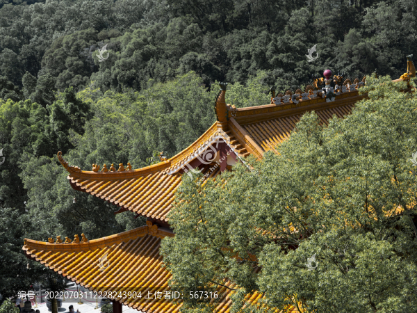 深圳弘法寺