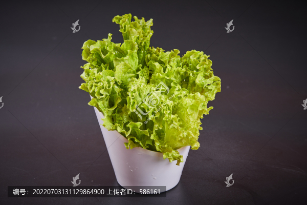 生菜
