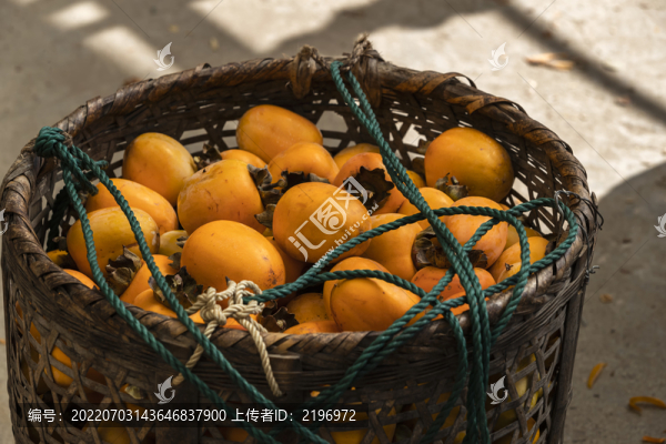 竹筐柿子圖片下載