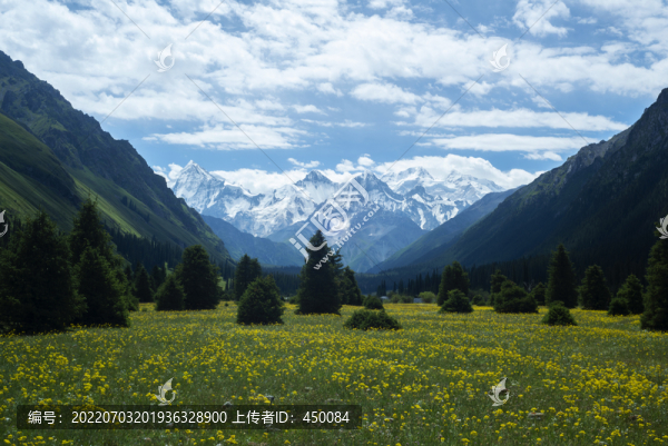 山景