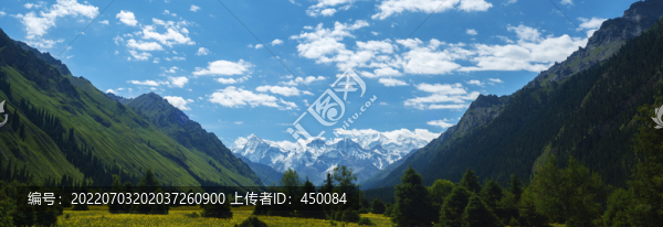 夏塔
