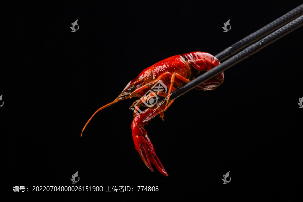 小龍蝦