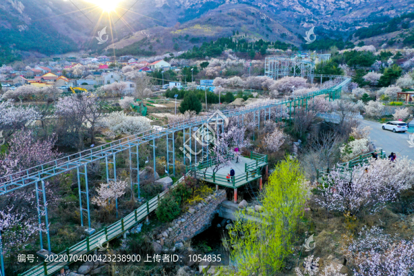 嶗山廟石