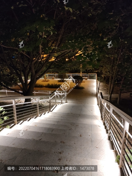 灞河夜景