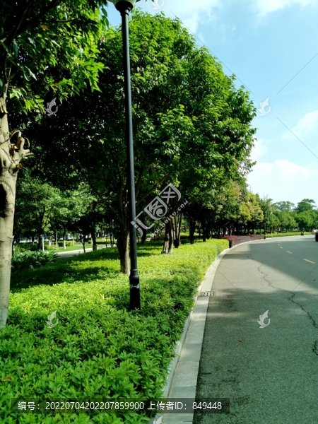 道路景觀綠化
