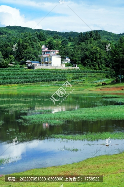 新農(nóng)村
