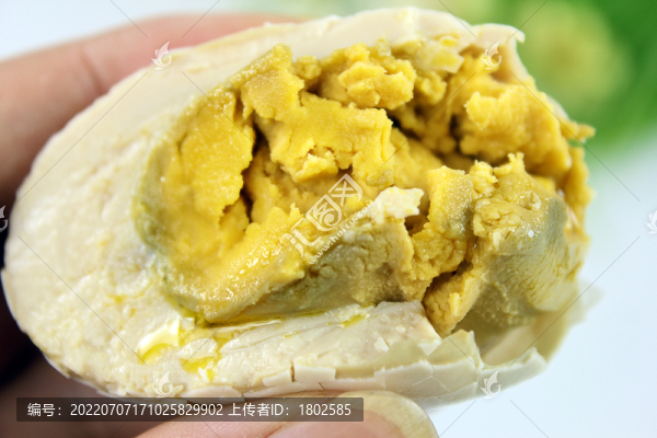 四川紅泥咸鴨蛋鹽蛋