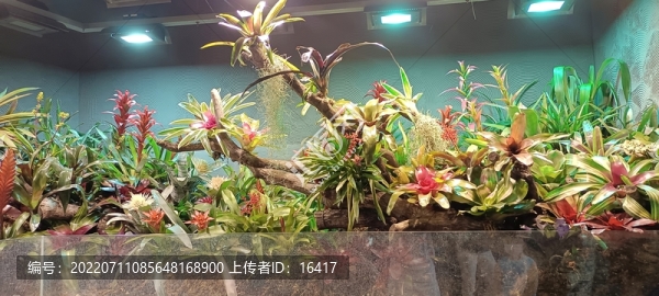 上海辰山植物園