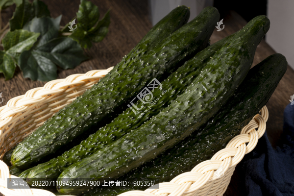 黃瓜