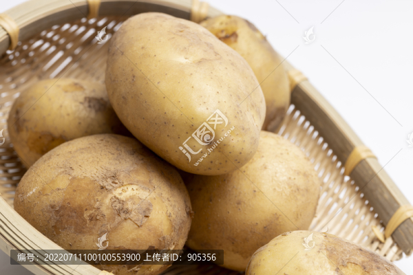 土豆馬鈴薯
