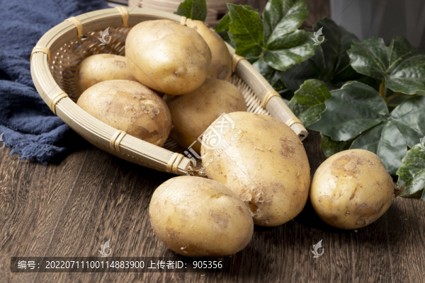 黃心土豆