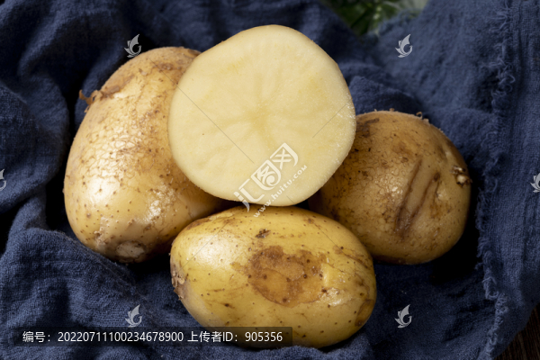 黃心土豆馬鈴薯