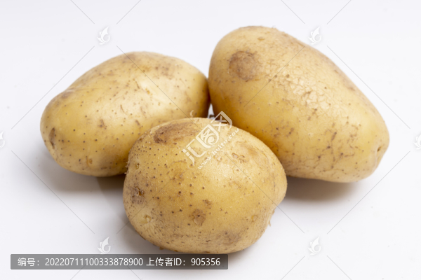 土豆馬鈴薯