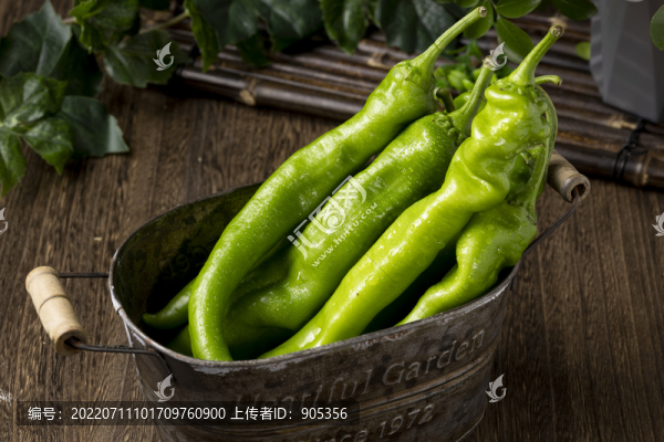 螺絲椒