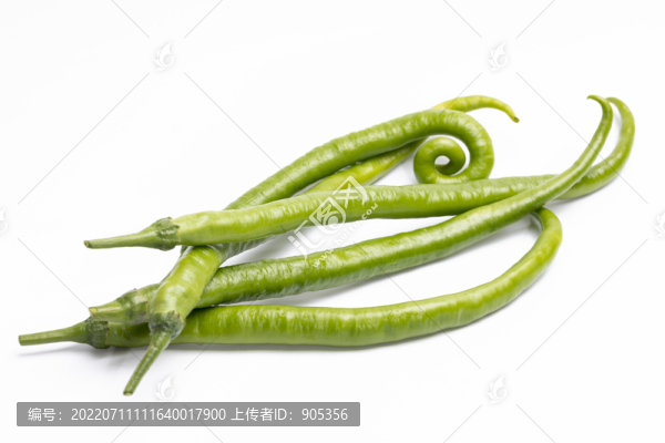 線椒
