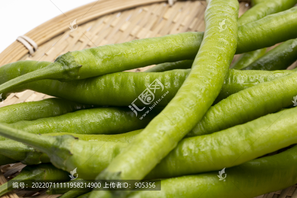 線椒