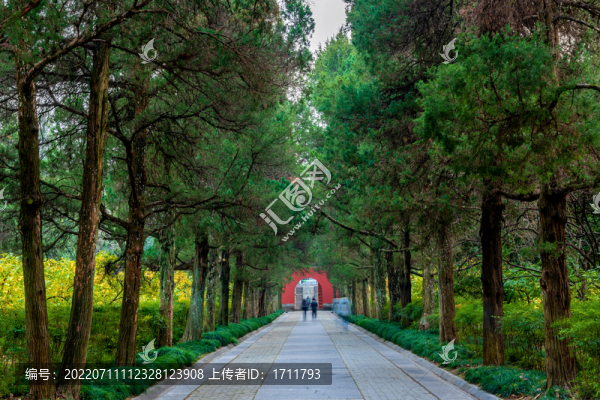 中國江蘇南京鐘山明孝陵