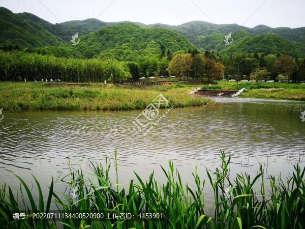 濕地公園