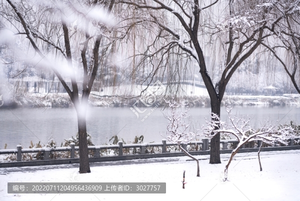 公園雪景