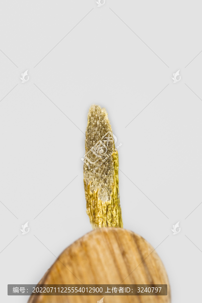 切片白底圖