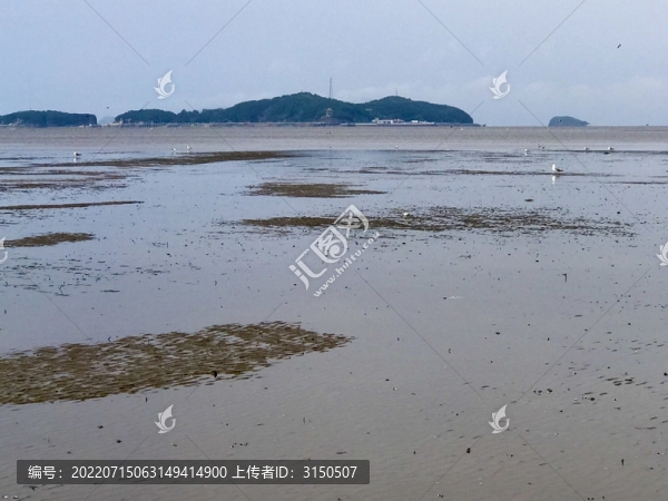 遠(yuǎn)望東港獐島