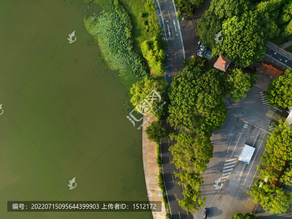 黿頭渚外風景